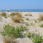 Spiaggia Spiaggia Postilli – Foro – Ghiomera