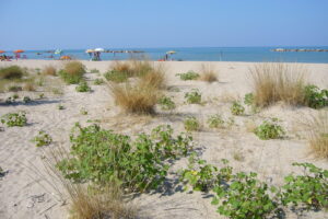Spiaggia Spiaggia Postilli – Foro – Ghiomera
