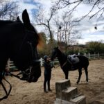 Centro Equestre Miura Club